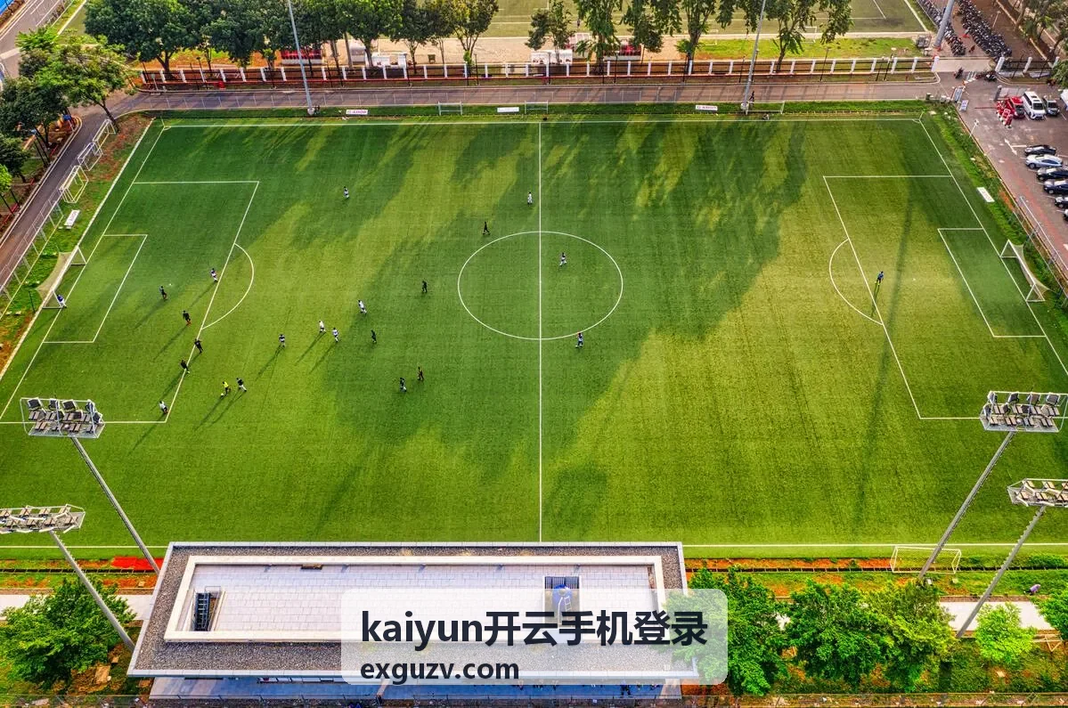 kaiyun开云手机登录轻量模式功能示意